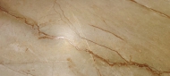 RS 156 IVORY CARVING