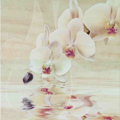 Dec.ORCHID Set.2,ДОСТУПНО 2 шт ― GeDeMa Ceramica