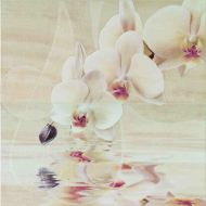Dec.ORCHID Set.2,ДОСТУПНО 2 шт